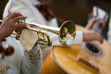 Fototapeta na wymiar Trumpet performance at the concert