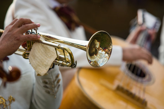 Mariachi Trumpet Images – Browse 794 Stock Photos, Vectors, and Video |  Adobe Stock