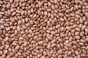 close up of pinto bean for background 