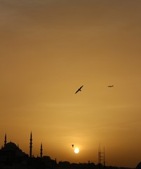 mosque seagull and airplane silhouette in sunset landscape