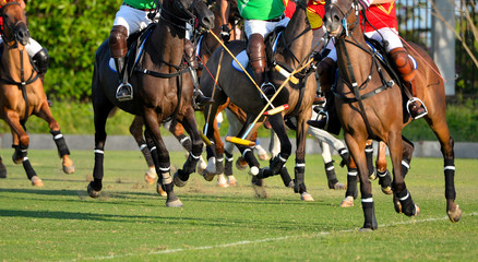 Horse Polo Ball