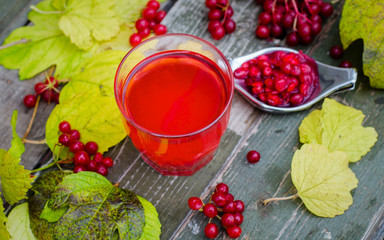 Still life with viburnum tea on wooden background