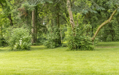 Obraz premium idyllic park scenery
