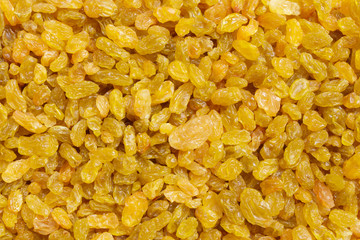 row of golden raisins isolated on white background