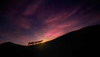 Rolgordijnen Desert camel team © 辉 李
