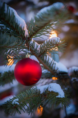 verschneiter Tannenzweig mit roter Christbaumkugel beleuchtet