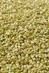 蕎麦の実　Buckwheat seed