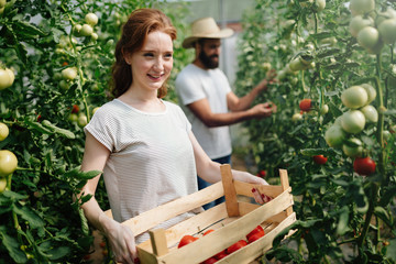 Naklejka na ściany i meble Attractive happy female farmer working in greenhouse
