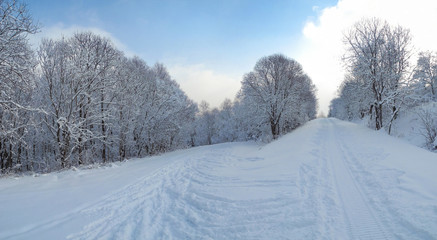 Beautiful winter forest covered with snow. Ski track at the Tysovets sports base, Ukraine.