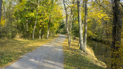 Road at a River