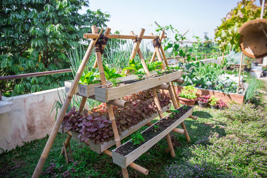 Home Urban Farming In The Rooftop