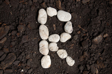 English alphabet (R - alphabet) from the white rock on the soil