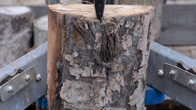 Kraftvoller Holzspalter spaltet dicken Stamm