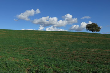 campagna