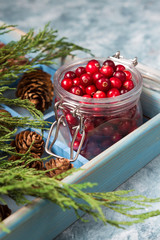 Fresh juicy cranberries in a glass jar on a blue marble background with spruce branches and cones with copy space