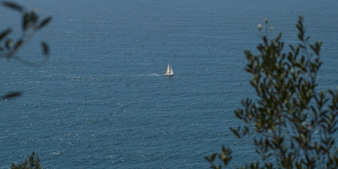 Sailing boat at sea