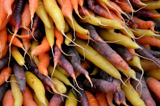 Bunte Karotten