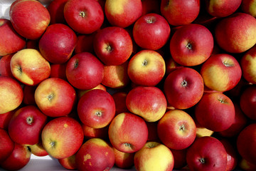 Apples