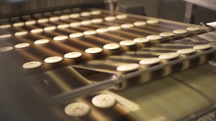 The cookie moves along the conveyor. Cookies on the conveyor