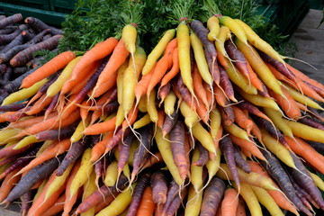 Bunte Karotten