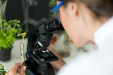 Young scientist using a microscope