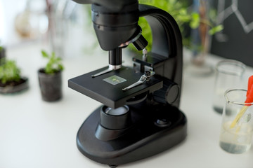 Microscope