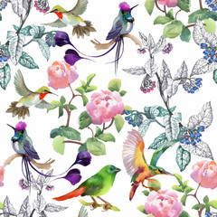 Fototapety  Akwarela ręcznie rysowane wzór z pięknymi kwiatami i kolorowymi ptakami na białym tle.