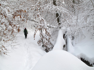 Winterwandern in Stuttgtart