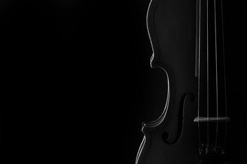 Violin classical music instrument close-up. Stringed musical instrument violin isolated on black background with copy space © aleksandarfilip