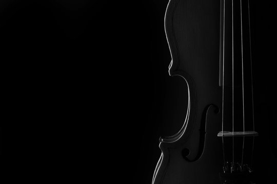 Violin classical music instrument close-up. Stringed musical instrument violin isolated on black background with copy space