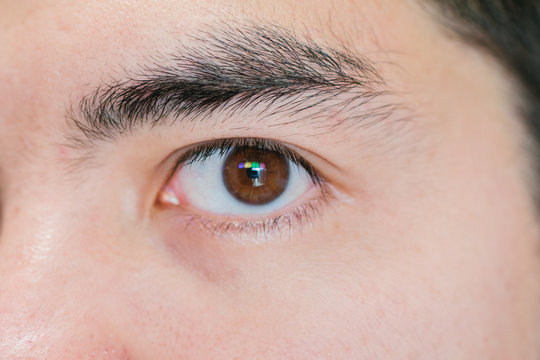 Close up to brown eyes asia man.