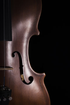 Violin part close-up