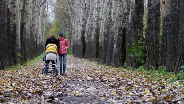 Parents with a stroller walks through the autumn forest, she walks along a beautiful avenue