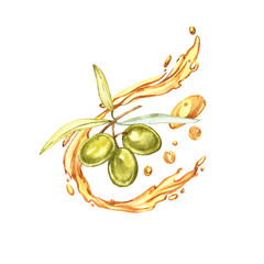 Set A branch of ripe green olives is juicy poured with oil. Drops and splashes of olive oil. Watercolor and botanical illustration isolated on white background.
