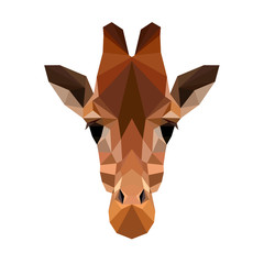 Vector polygonal giraffe isolated on white. Low poly giraffe illustration. Color vector simple animal image. © Nadya