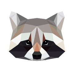 Vector polygonal raccoon isolated on white. Low poly raccoon illustration. Color vector simple animal predator image. © Nadya
