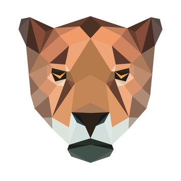 Vector polygonal jaguar isolated on white. Low poly cat illustration. Color vector simple animal predator image.