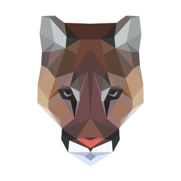 Vector polygonal puma isolated on white. Low poly cat illustration. Color vector simple animal predator image.