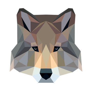 Vector polygonal wolf isolated on white. Low poly dog illustration. Color vector simple animal predator image.
