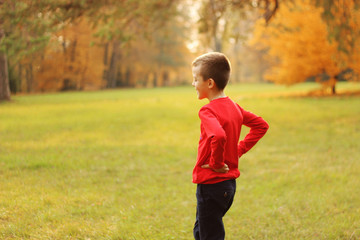 Fototapeta na wymiar A boy is playing in an autumn park on the grass in a red sweater