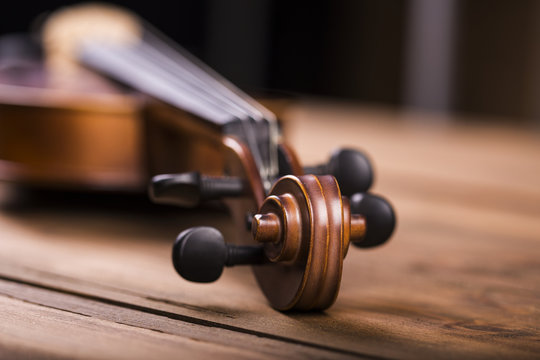 Violin