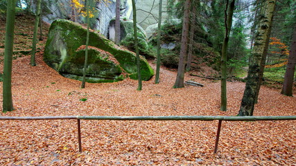 Piękny jesienny liściasty dywan w leśnym, skalnym parku czeskiej miejscowości Adelsbach - Skalne Miasto © Konrad_elx