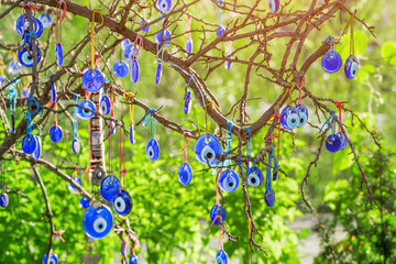 Evil eye charms hang on a green tree at summer in Cappadocia, Turkey.