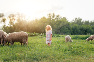 Girl kid smiling and trying to feed sheep in the summer outdoors/ happy children. The children's day. children brought up in nature. wild children. children brought up in nature.