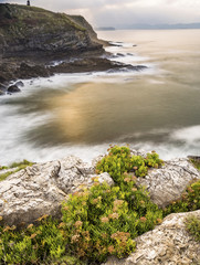 Puesta de sol sobre el mar con vegetaci&oacute;n en primer plano