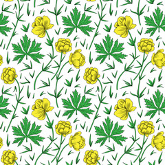 Seamless herbal pattern Trollius asiaticus flowers, globeflower hand drawn vector sketch isolated on white background, Ranunculus for design package, medicine, wedding invite, greeting card, cosmetic