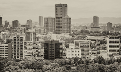 Osaka aerial view. Buildings and city park on a overcast day