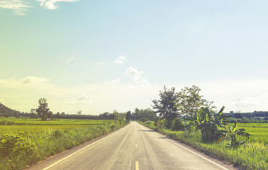 country road and green meadow