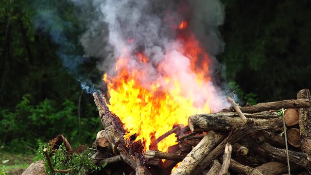 4K resolution : Fire burning tree log
