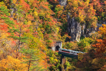 View of Naruko Gorge in autumn season,  Miyagi, Japan